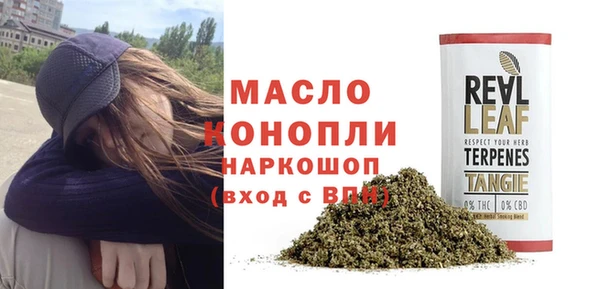твердый Вяземский