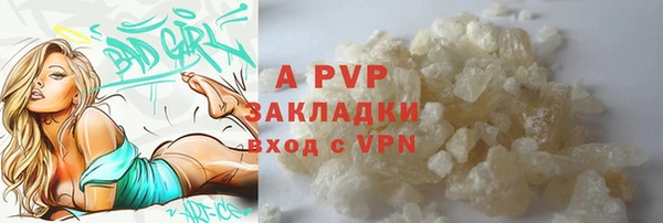 твердый Вяземский