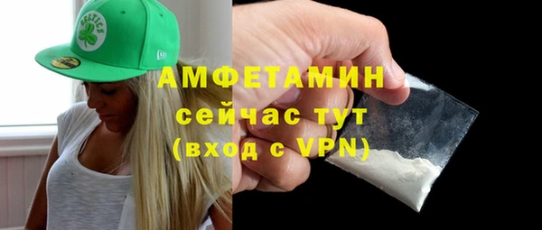 твердый Вяземский