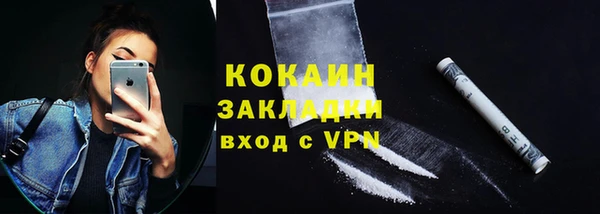 твердый Вяземский