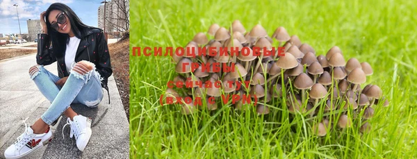 прущая мука Вязьма