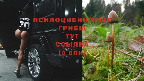 прущая мука Вязьма