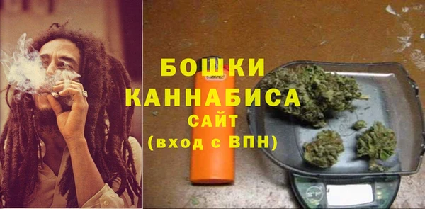 твердый Вяземский