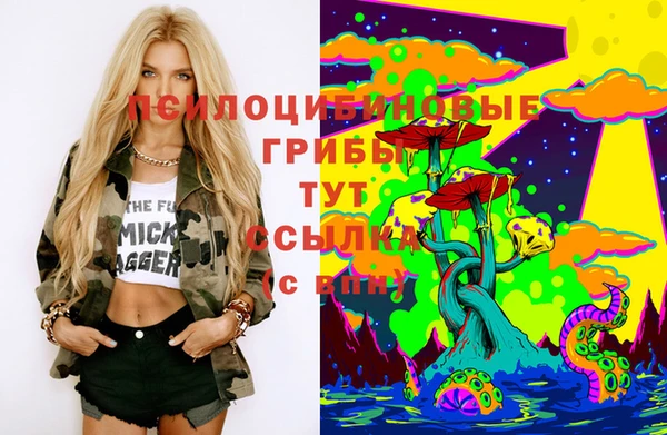 твердый Вяземский