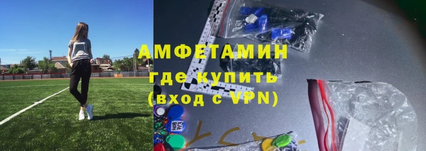 твердый Вяземский